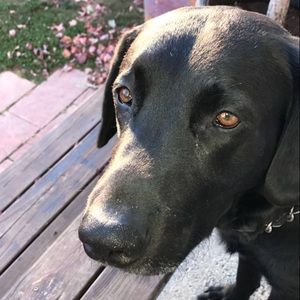 Meet your Posher, Gianna